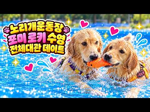 노리개운동장 포미 로키 수영 전체대관 데이트 26년10월9일 영상 썸네일