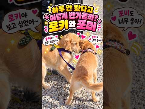 하루만 안 봐도, 이렇게 반가워. 영상 썸네일