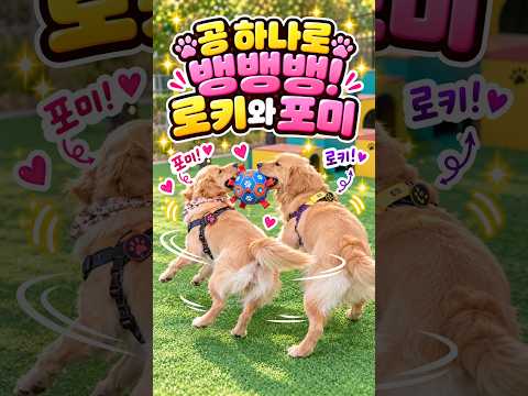 공 하나로, 뱅뱅뱅. 영상 썸네일